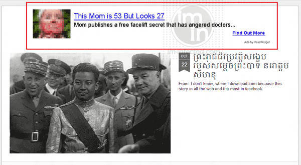 'Ads by PassWidget' PassWidget