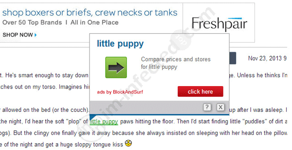 Ads by BlockAndSurf BlockAndSurf