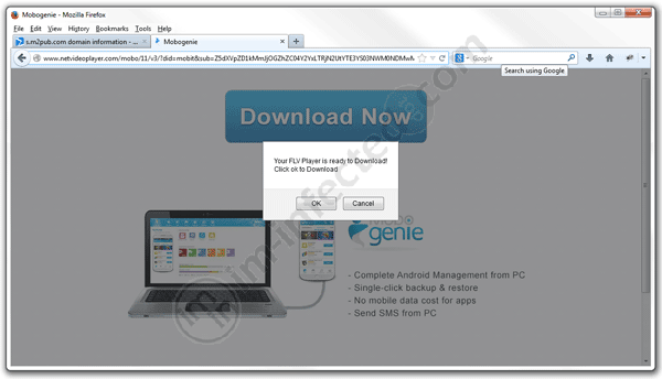 netvideoplayer.com netvideoplayer