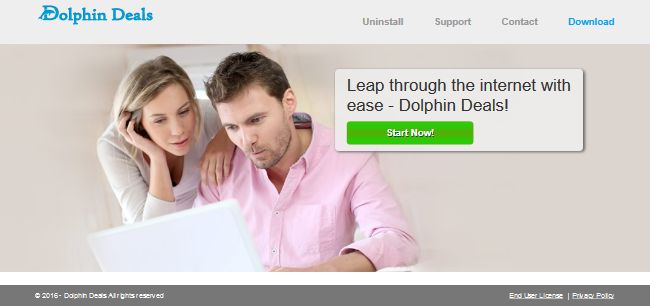 Dolphin Deals Dolphin Deals