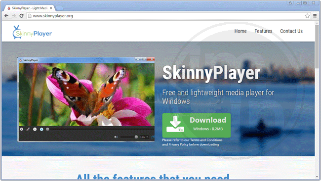 SkinnyPlayer