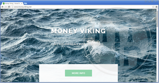 Money Viking