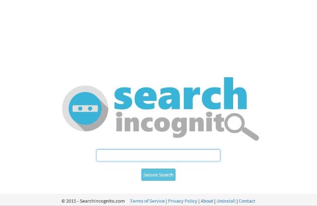 Searchincognito.com Searchincognito.com