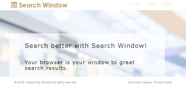 Search My Window Search My Window
