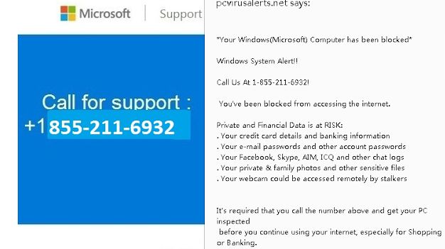 Pcvirusalert.online Pcvirusalert.online