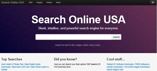Searchonlineusa.com Searchonlineusa.com