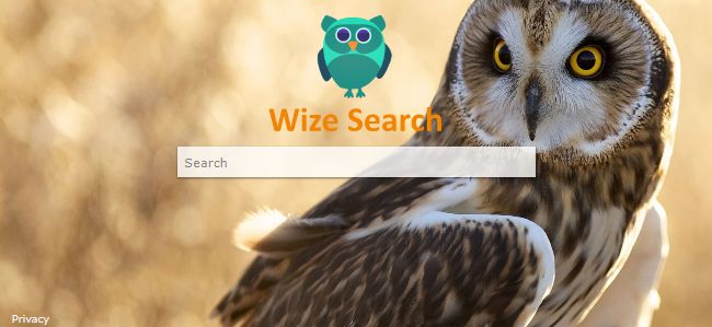 Wizesearch.com Wizesearch.com