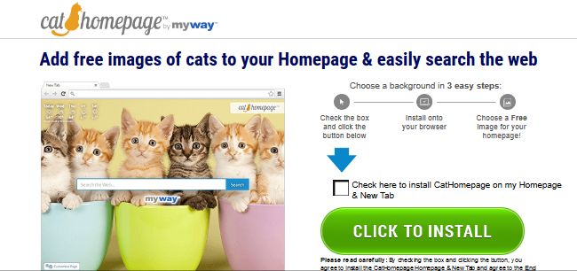 CatHomepage CatHomepage