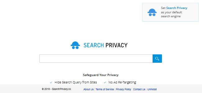 Searchprivacy1.co Searchprivacy1.co