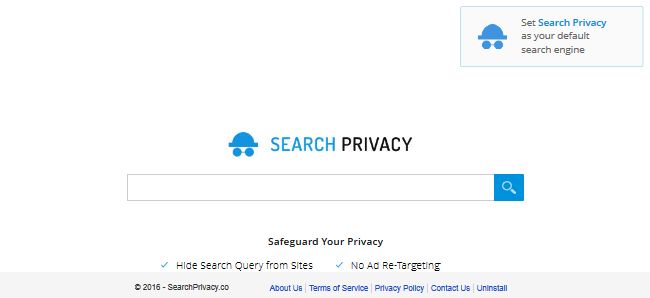 Thesearchprivacy.co Thesearchprivacy.co