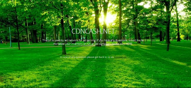 CDNCash.net CDNCash.net