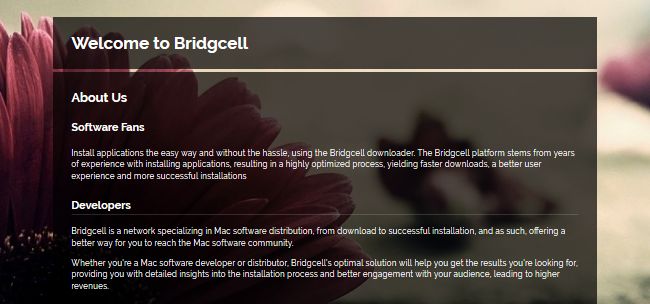Bridgcell Bridgcell