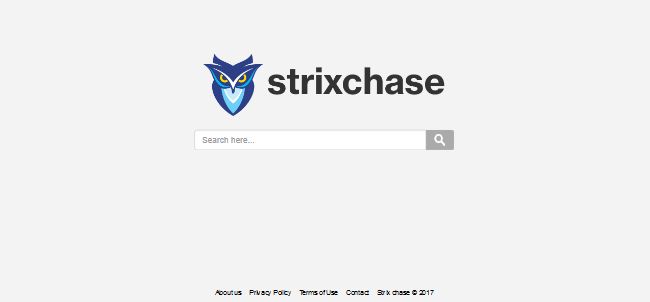 StrixChase.com StrixChase.com