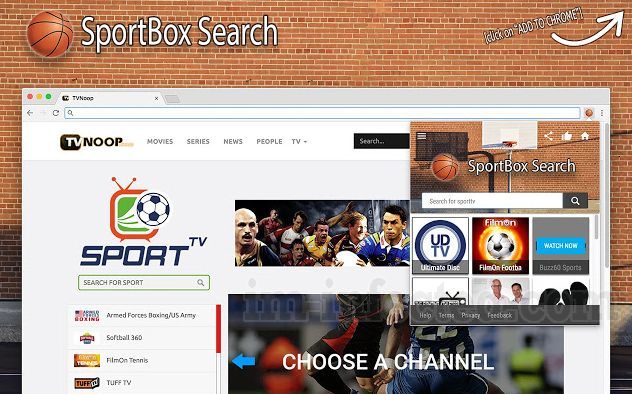 SportBox Search SportBox Search