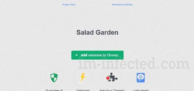 Salad Garden Salad Garden