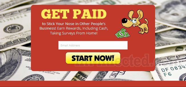 Survey Sniffer Survey Sniffer