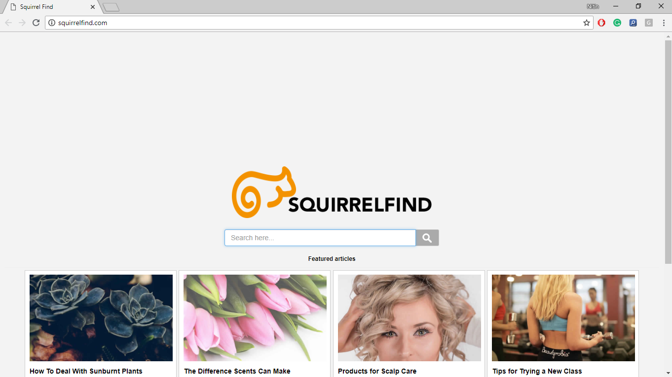 How to Remove Squirrelfind.com