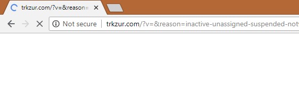 Search Hijacker Trkzur.com Redirect