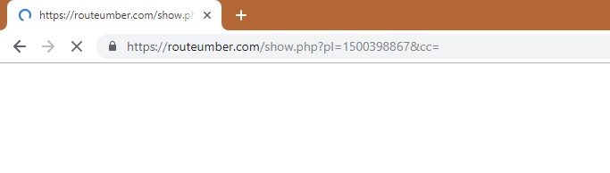 How to remove Routeumber.com Redirect