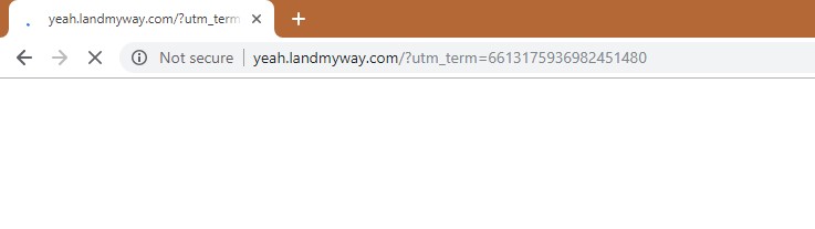 How to remove Yeah.landmyway.com Redirect