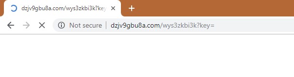 How to remove Dzjv9gbu8a.com Redirect