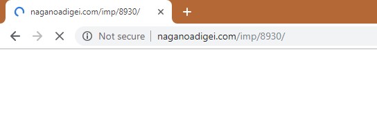How to remove Naganoadigei.com Redirect