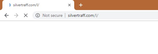 How to remove Silvertraff.com Redirect