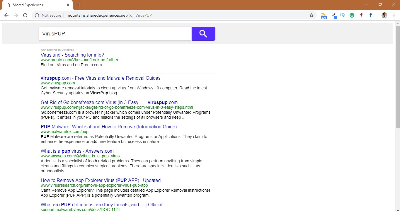 How to remove Mountains.sharedexperiences.net Redirect