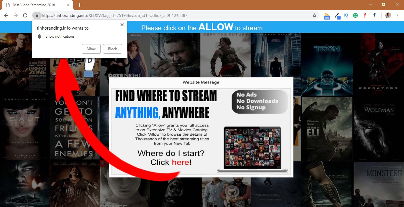 How to Remove Tinhoranding.info Pop-up