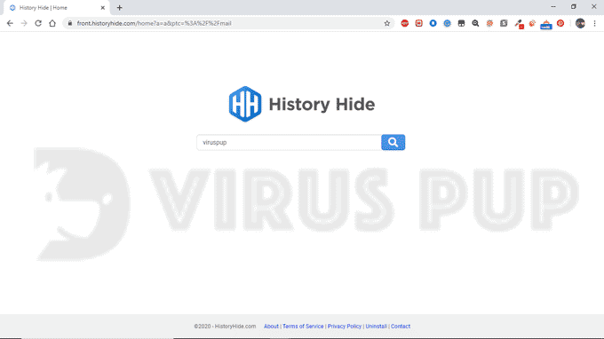 History Hide Hijacker