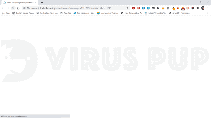 How to remove Traffic.focuusing5.com