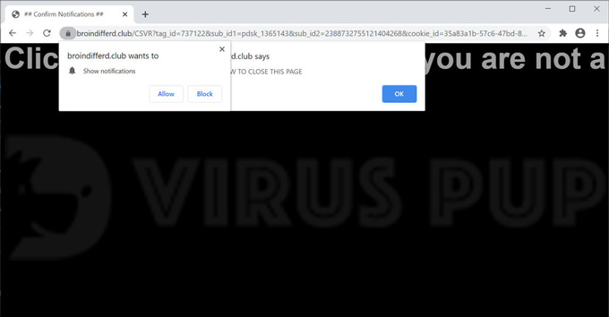 Remove Broindifferd.club Pop-up