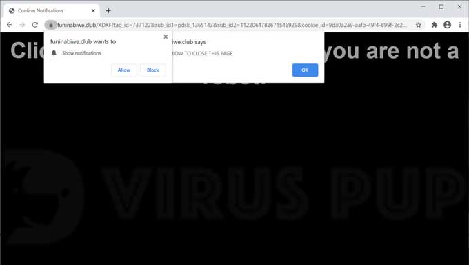 Remove Funinabiwe.club