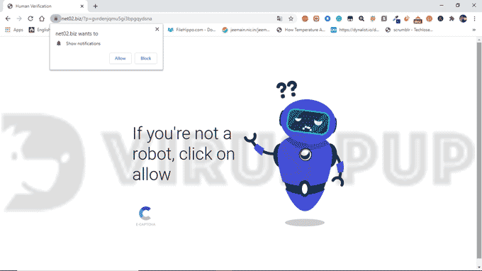 How to remove Net02.biz