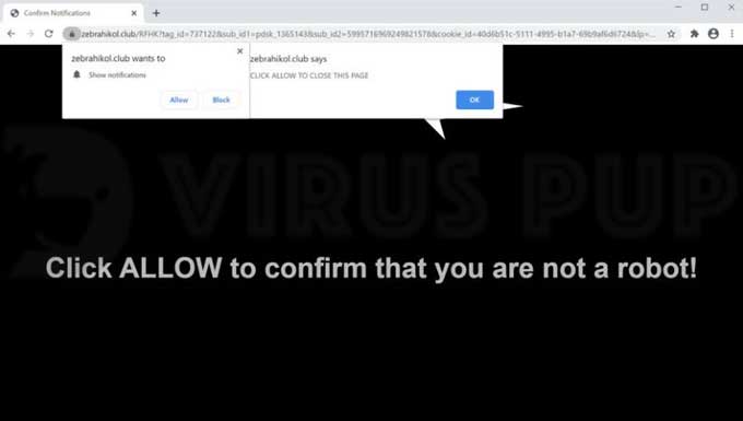 Remove Zebrahikol.club