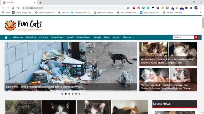 Delete Gubopedruph.com Ads