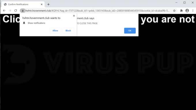 Uninstall Hovernment.club