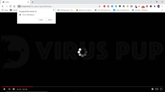 How to Remove Musgone.biz