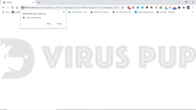 How to Remove Tiktok-labs.com