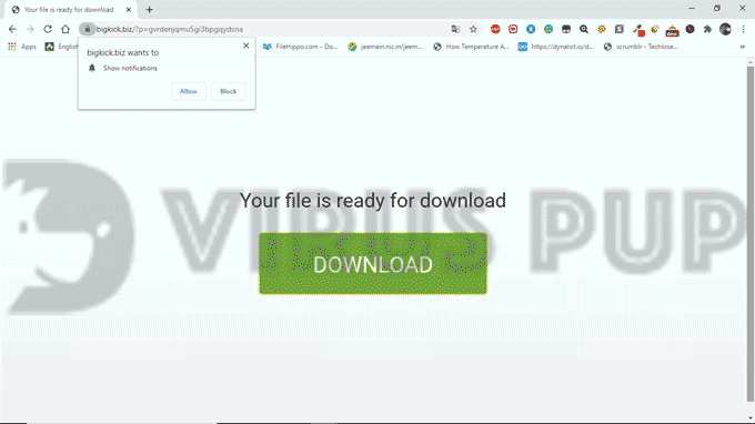 How to Uninstall Bigkick.biz