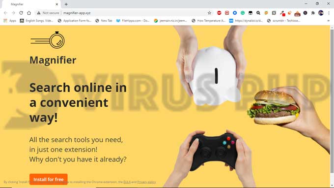 Remove Magnifier Search