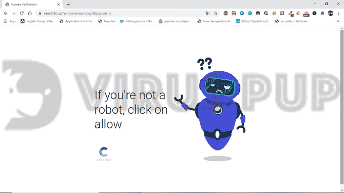 How to Remove News16.biz
