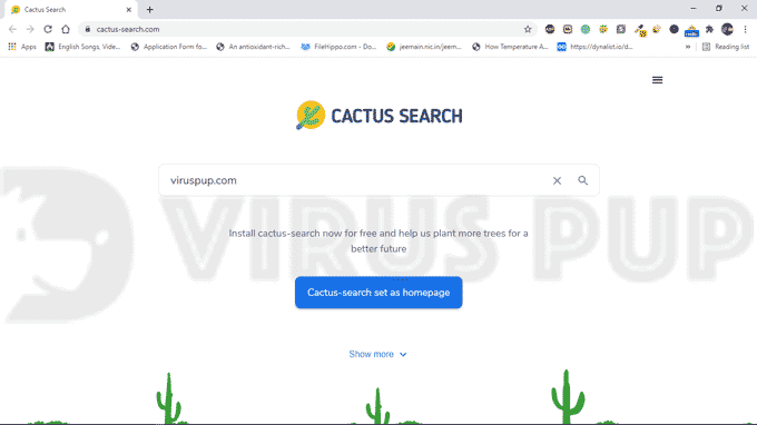 Cactus Search