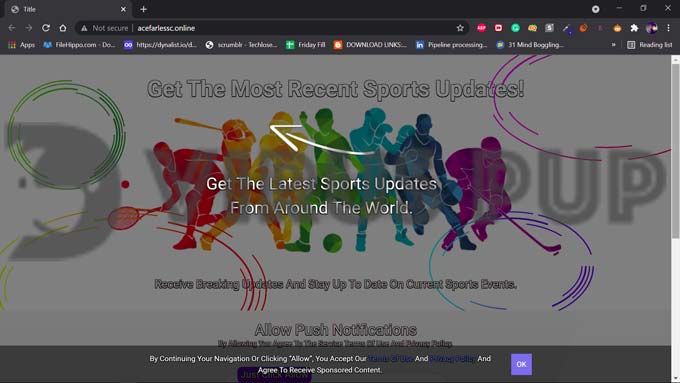 Acefarlessc.online